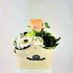 Happy Petals
