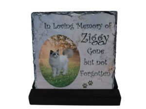Pet Memorial Photo-Slate