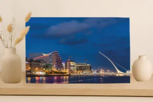 Samuel Beckett Bridge